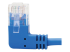 Eaton Tripp Lite Series Left-Angle Cat6 Gigabit Molded Slim UTP Ethernet Cable (RJ45 Left-Angle M to RJ45 M), Blue, 15 ft. (4.57 m) - Närbild
