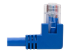 Eaton Tripp Lite Series Right-Angle Cat6 Gigabit Molded UTP Ethernet Cable (RJ45 Right-Angle M to RJ45 M), Blue, 1 ft. (0.31 m) - Närbild
