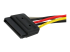 StarTech.com 6in SATA Power Y Splitter Cable Adapter - Närbild