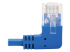 Eaton Tripp Lite Series Right-Angle Cat6 Gigabit Molded Slim UTP Ethernet Cable (RJ45 Right-Angle M to RJ45 M), Blue, 3 ft. (0.91 m) - Närbild